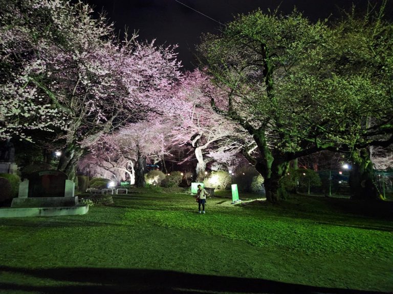 2025年4月　