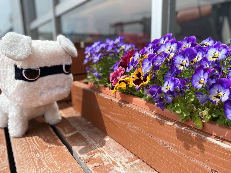 5月🌼