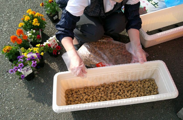 お花とカブ丸。