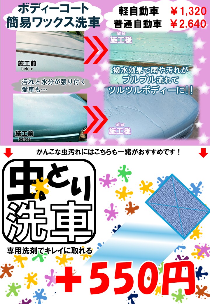 虫取り洗車/カブ丸。通信