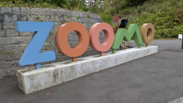 zoomo