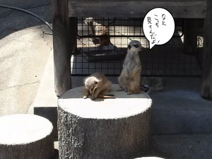 動物園5